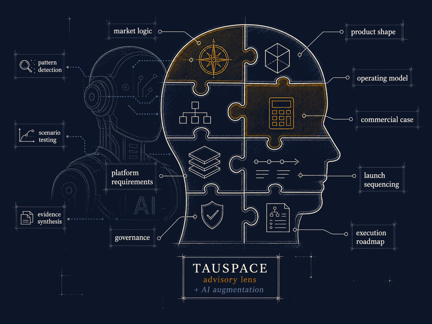 TAUSPACE advisory practice — the human work that frames AI-assisted analysis into defensible decisions.